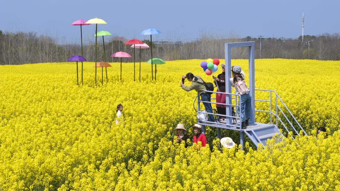 春假经济看江宁：多元场景“组团”上新