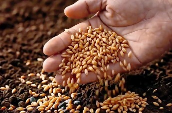 奔跑农科城 活力向未来 ｜2026蒙牛·海斯夫杨凌农科城马拉松赛