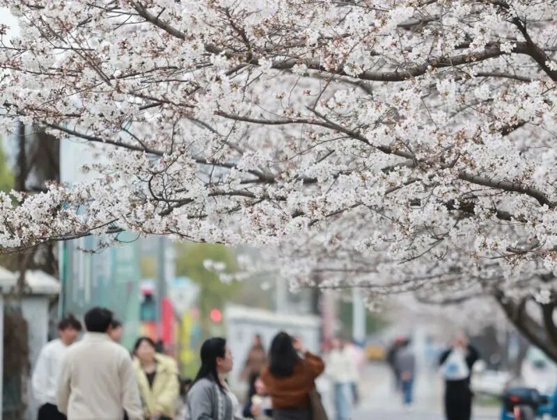 (九江日报记者 张驰/摄)