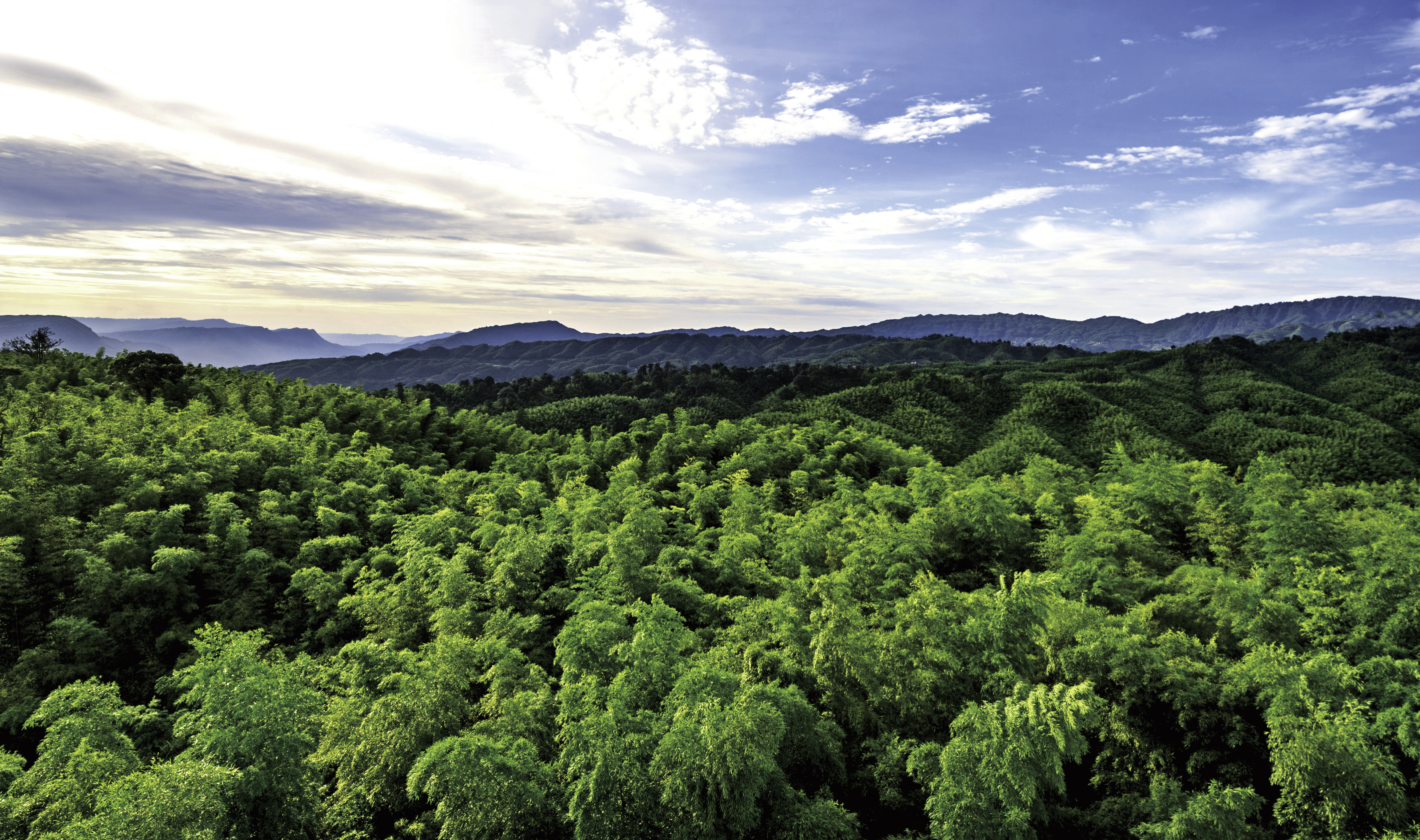 遵义赤水市竹海森林公园