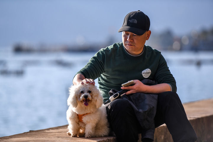 自驾来昆明的游客带着宠物狗在滇池畔赏鸥（2月3日摄）。新华社记者 彭奕凯 摄