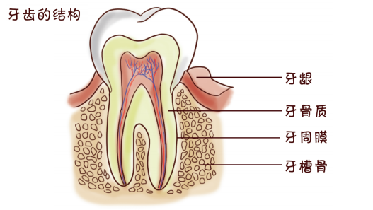 FE68BC0C20E8F77D04451CC5C62EC107DD66B281_size103_w527_h297.png