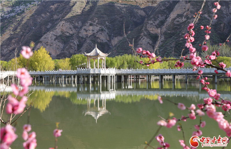 天水甘谷大像山春花盛开