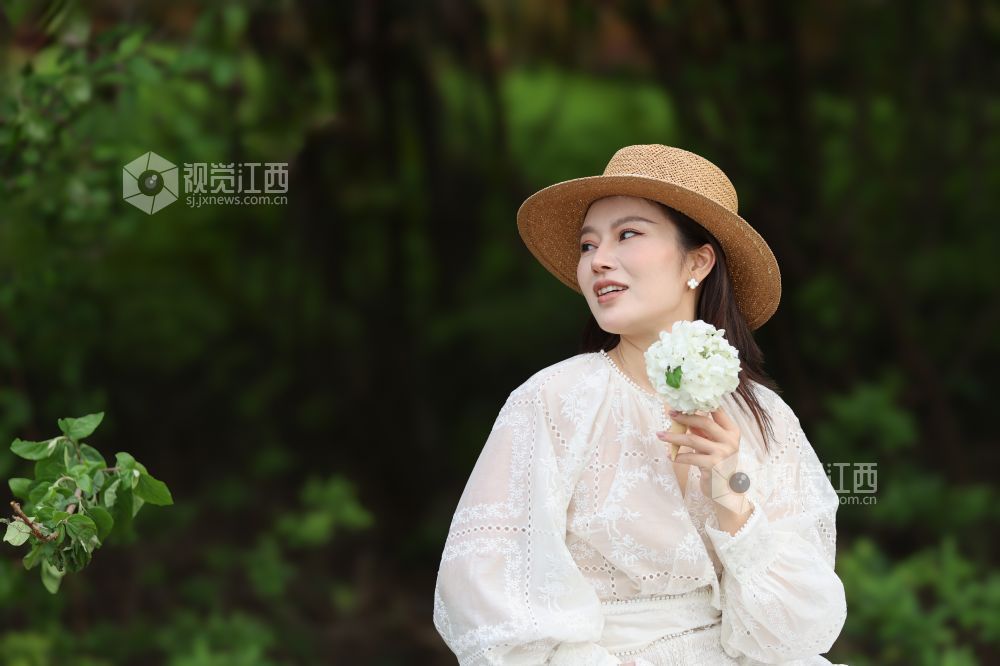 2026年4月5日，江西省吉安市生态公园一大片木绣球映入眼眶，它们一团团、一簇簇地绽放，宛如冰淇淋种在了枝头。