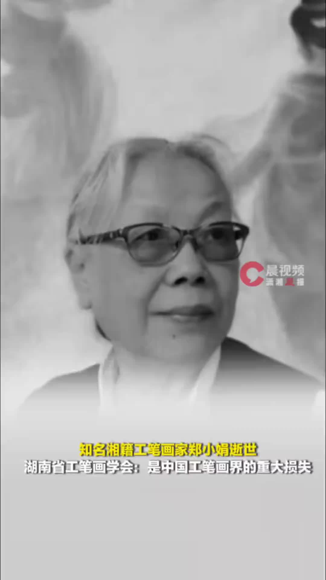 知名湘籍工笔画家郑小娟逝世，湖南省工笔画学会发布讣告：是中国工笔画界的重大损失