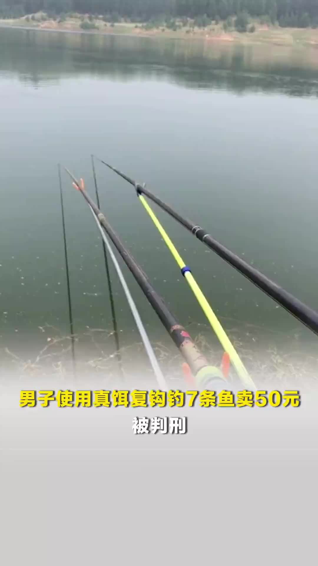 男子使用真饵复钩钓7条鱼卖50元，被判刑，法院回应：违反保护水产资源法规