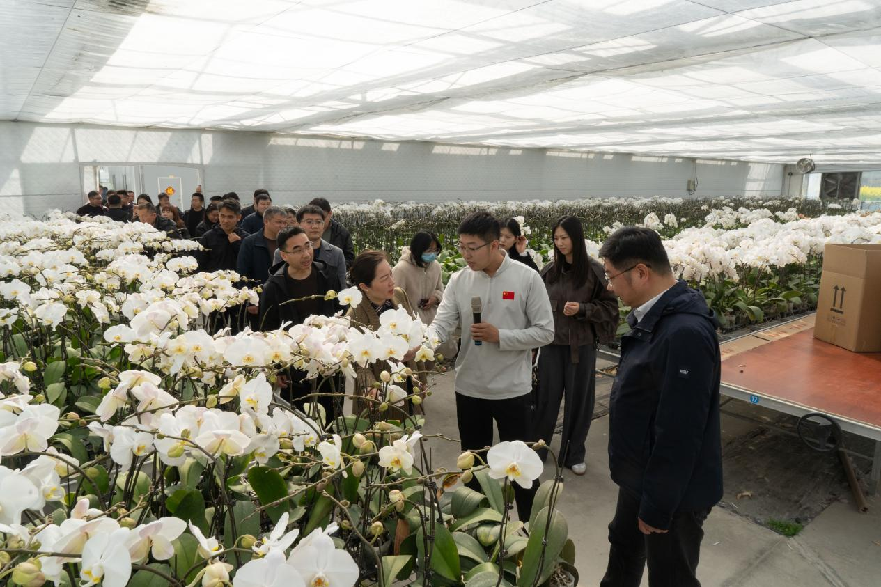 流量之上，泥土之下，徐州乡土传播为何能打动人心？