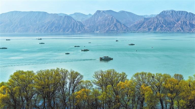 刘家峡水库临夏县莲花镇黄河岸边绿意盎然,吸引游客赏景游玩。新甘肃·甘肃日报通讯员 史有东