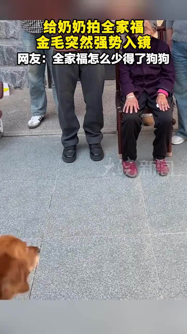 给奶奶拍全家福，金毛突然强势入镜，网友：全家福怎么少得了狗狗