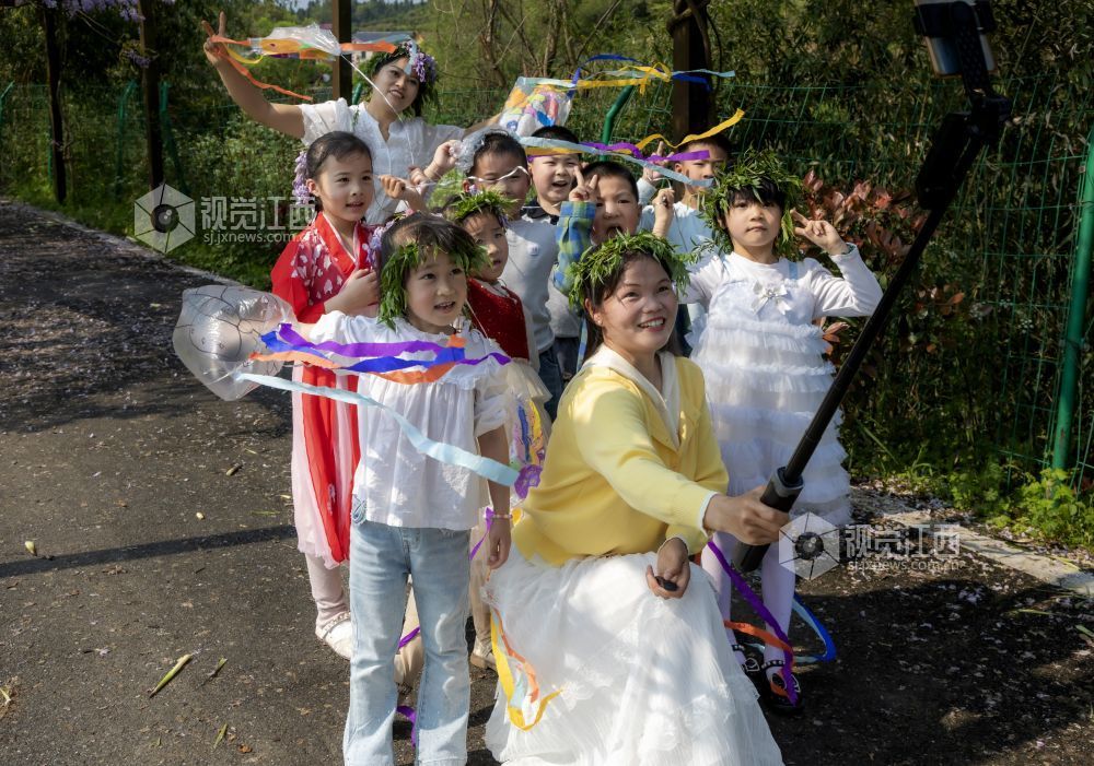 江西分宜：四月芳菲春意浓 紫藤花开趣无穷（图）