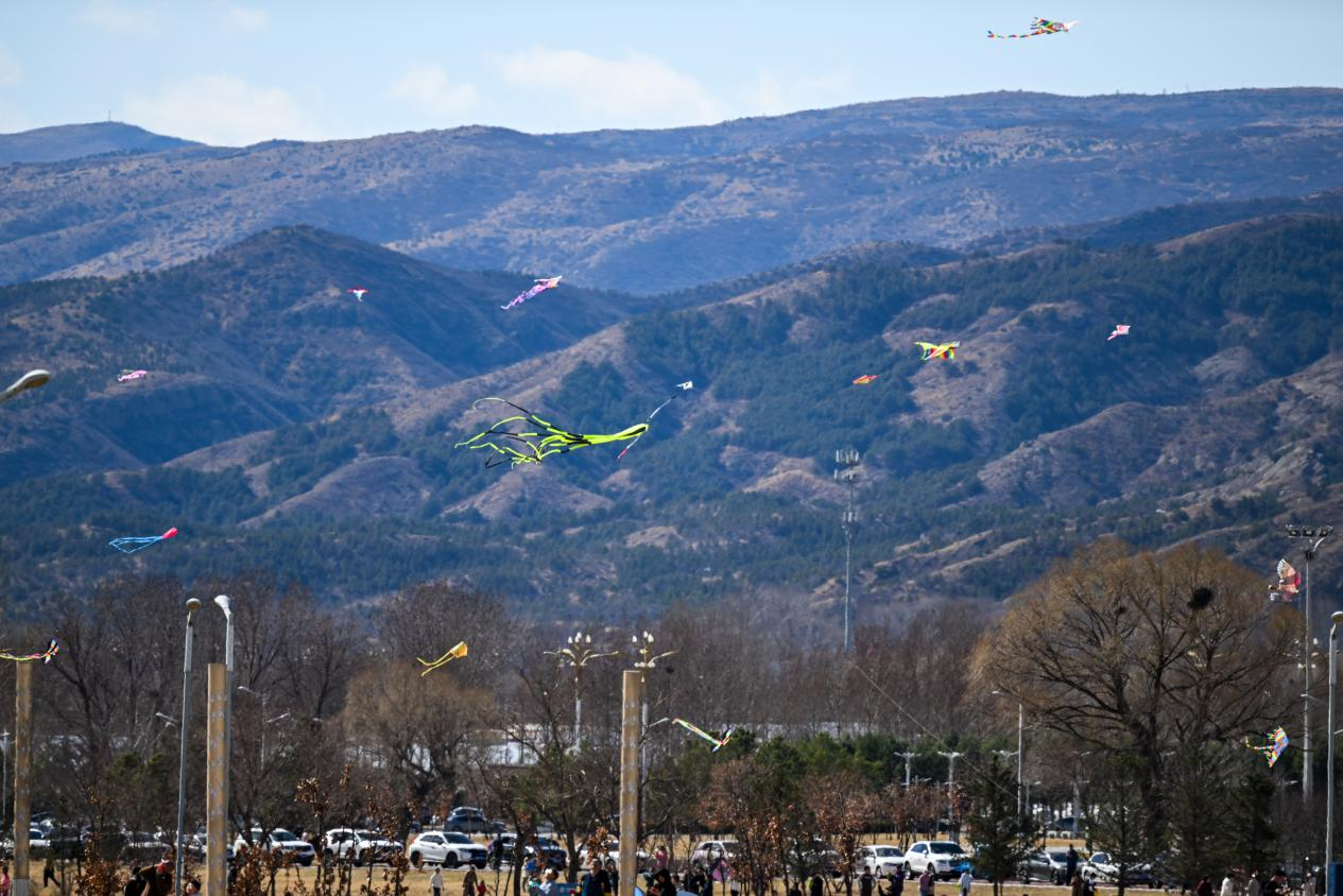 把想念委托春风 将彩鸢放飞蓝天