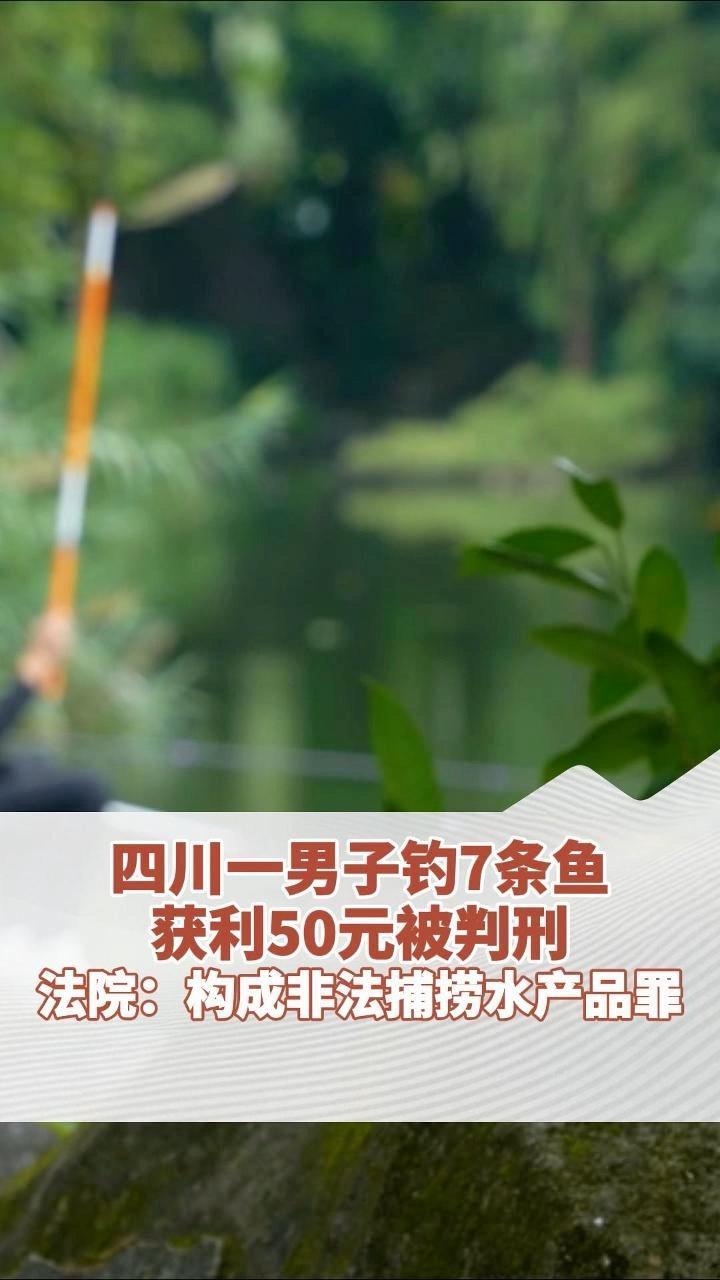 四川一男子，为赚50元摊上大事！2025年，倪某在禁渔区、禁渔期，用真饵复钩这种禁用工具钓鱼，还卖了4千克鱼获利50元。被查获后，法院认定他非法捕捞11.23千克渔获物，构成非法捕捞水产品罪。根据刑法