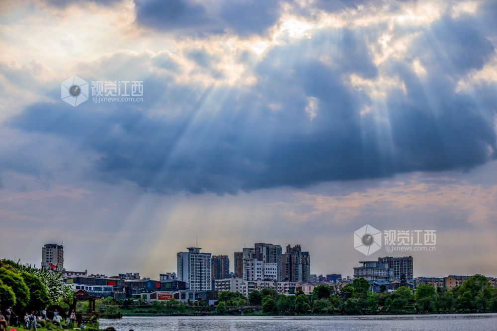 2026年4月5日，江西省吉安市生态公园一大片木绣球映入眼眶，它们一团团、一簇簇地绽放，宛如冰淇淋种在了枝头。