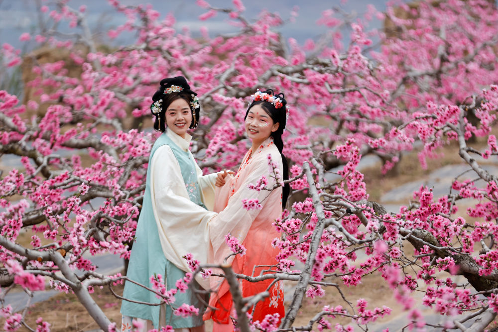 4月8日,游客在万亩桃林中踏青赏花。