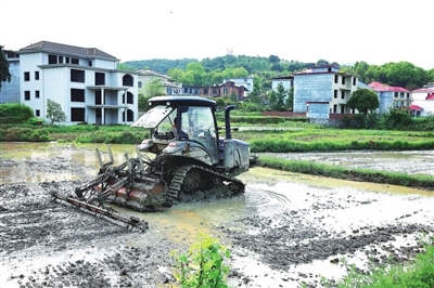 江西萍乡：春日农耕忙（图）