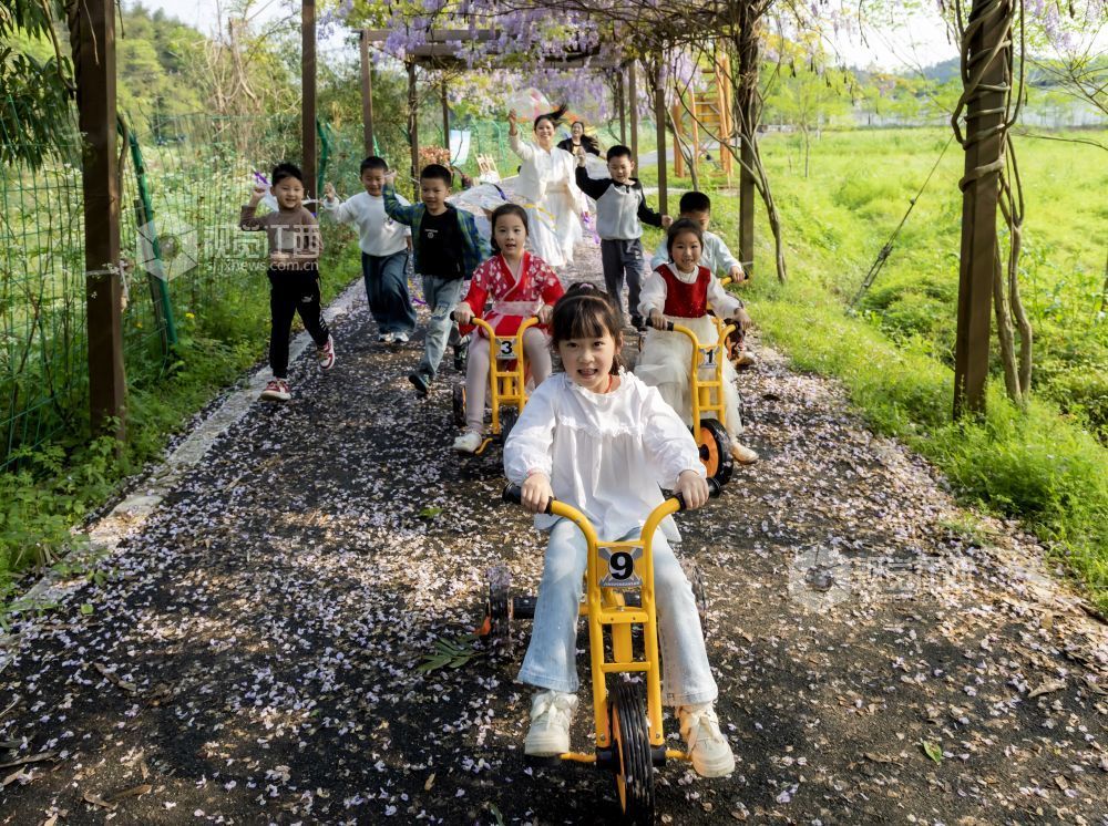 江西分宜：四月芳菲春意浓 紫藤花开趣无穷（图）