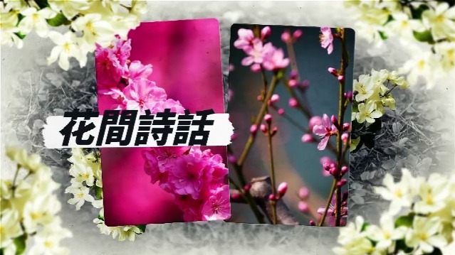 花间诗话