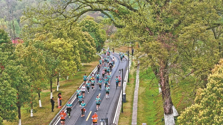 2026年青原山半程马拉松赛,参赛者在美丽的赛道上奔跑。