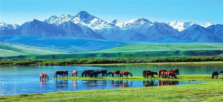 《西大河印象》　新甘肃&middot;甘肃日报特邀通讯员　桂政全