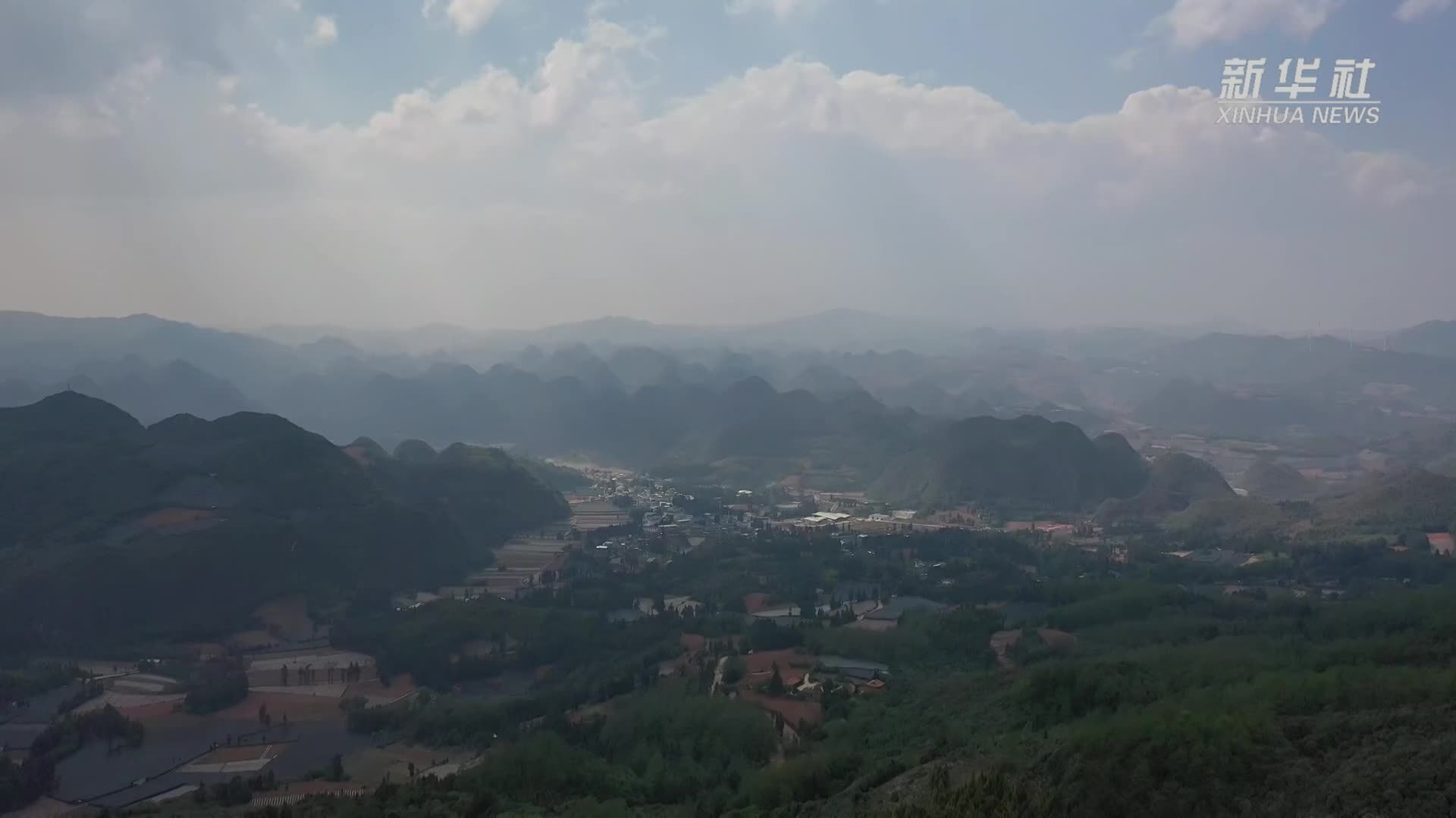 云南最大林下梅花鹿养殖基地在蒙自落地