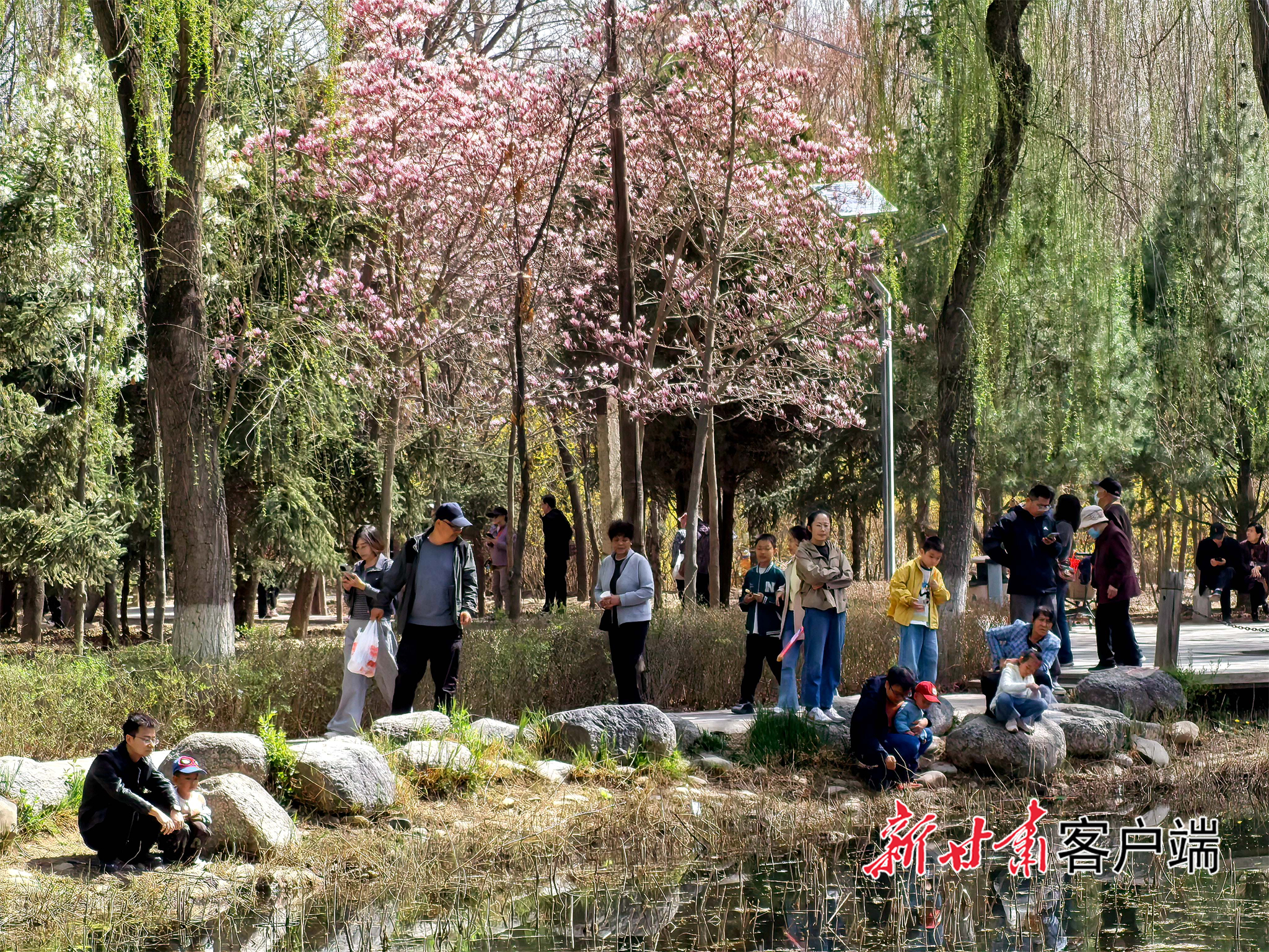 游客在水边赏景