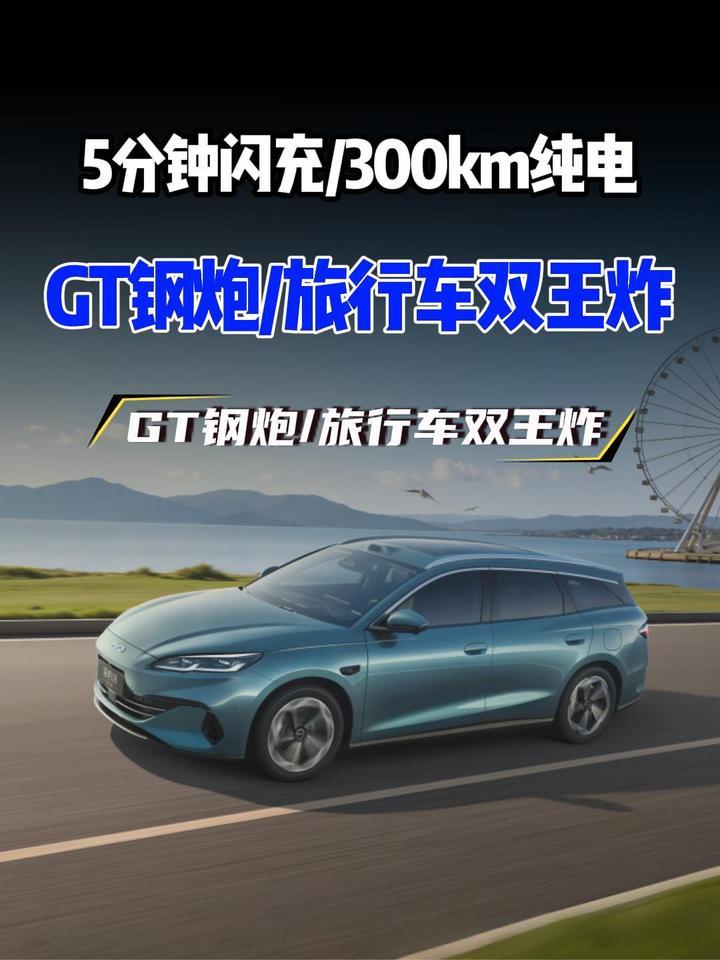 双豹炸场！2026海豹06双车亮点全揭秘