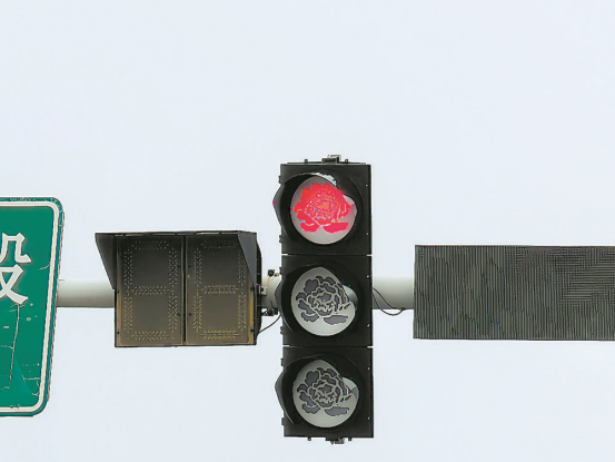 图片来源：澎湃新闻