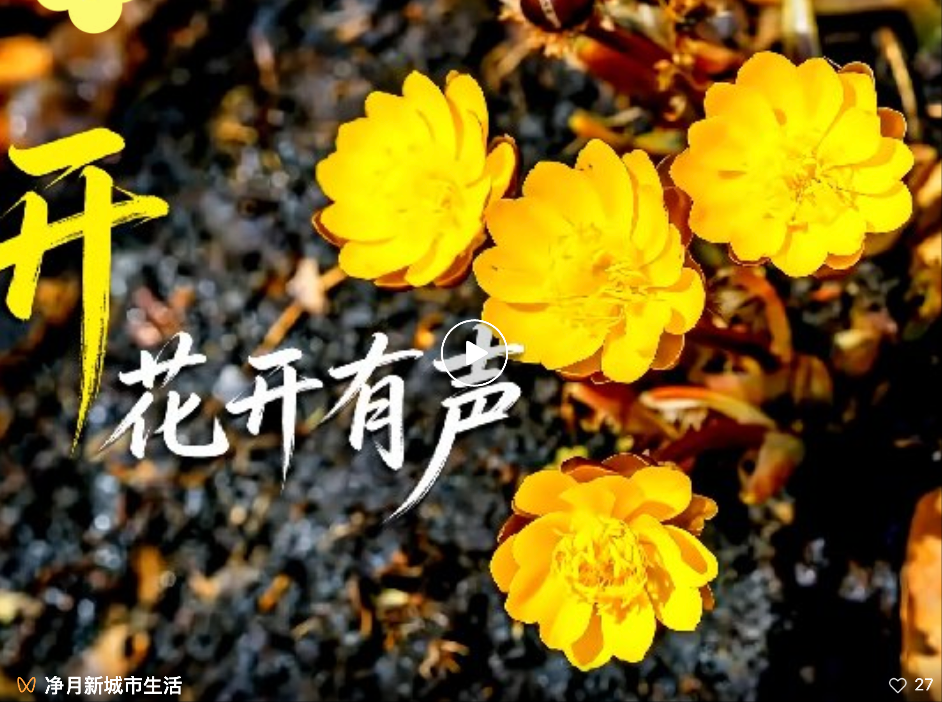 长春净月高新区原创短片《等一朵“花”开的时间》上线啦
