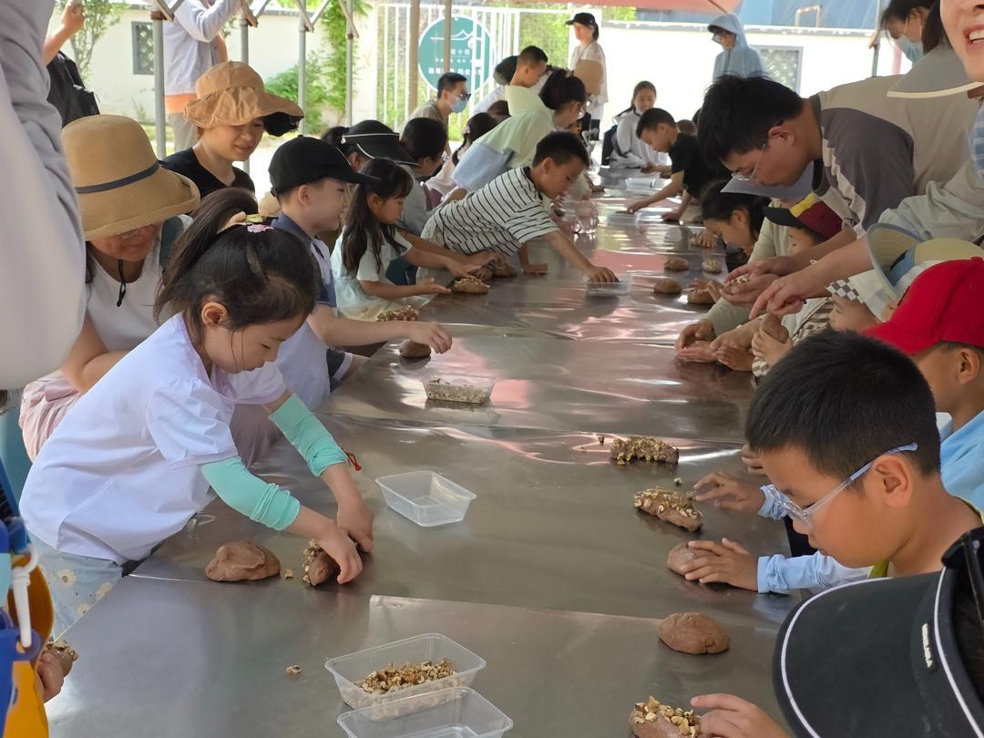 积丰园们,孩子们体验面包制作