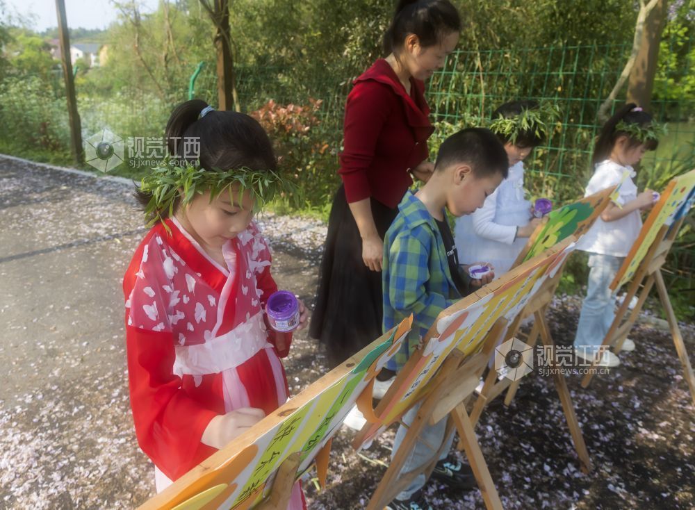 江西分宜：四月芳菲春意浓 紫藤花开趣无穷（图）