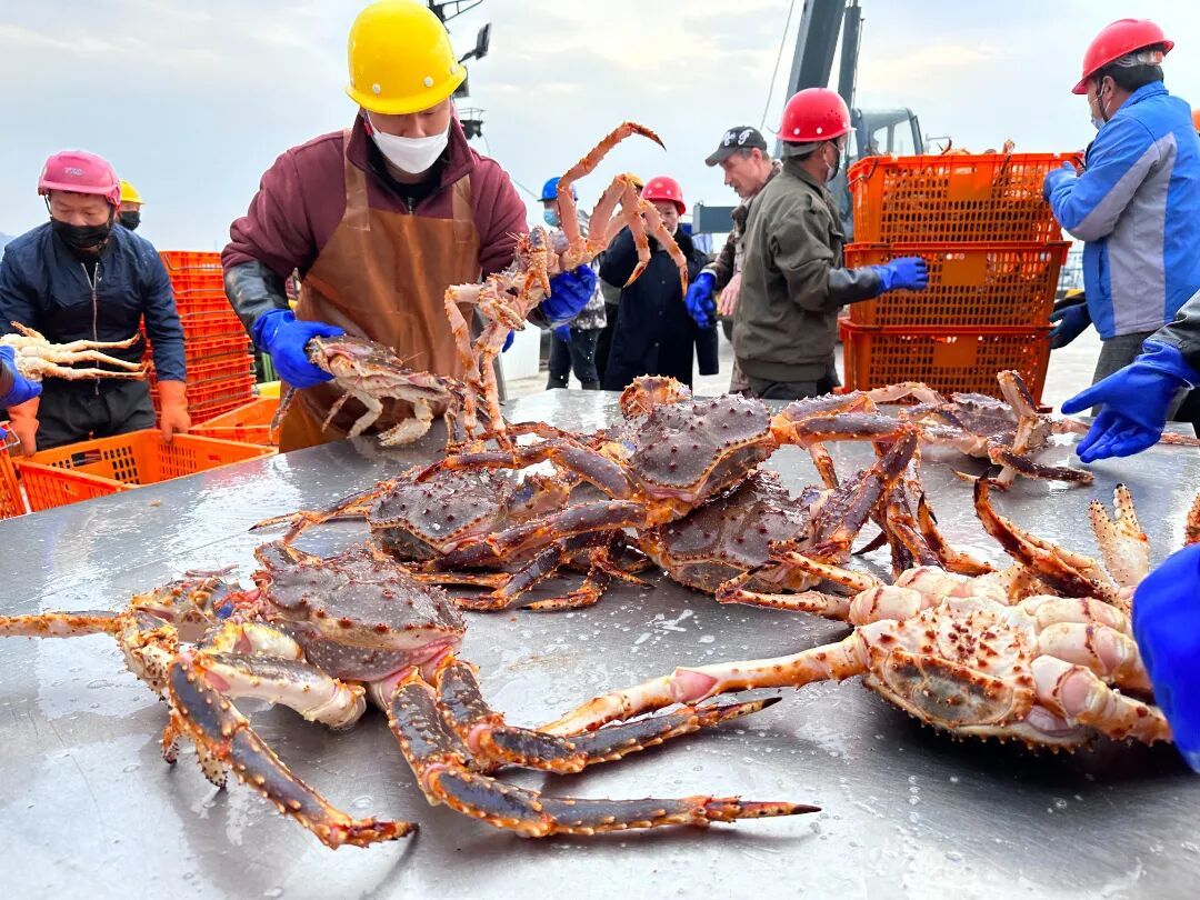 帝王蟹进口.jpg