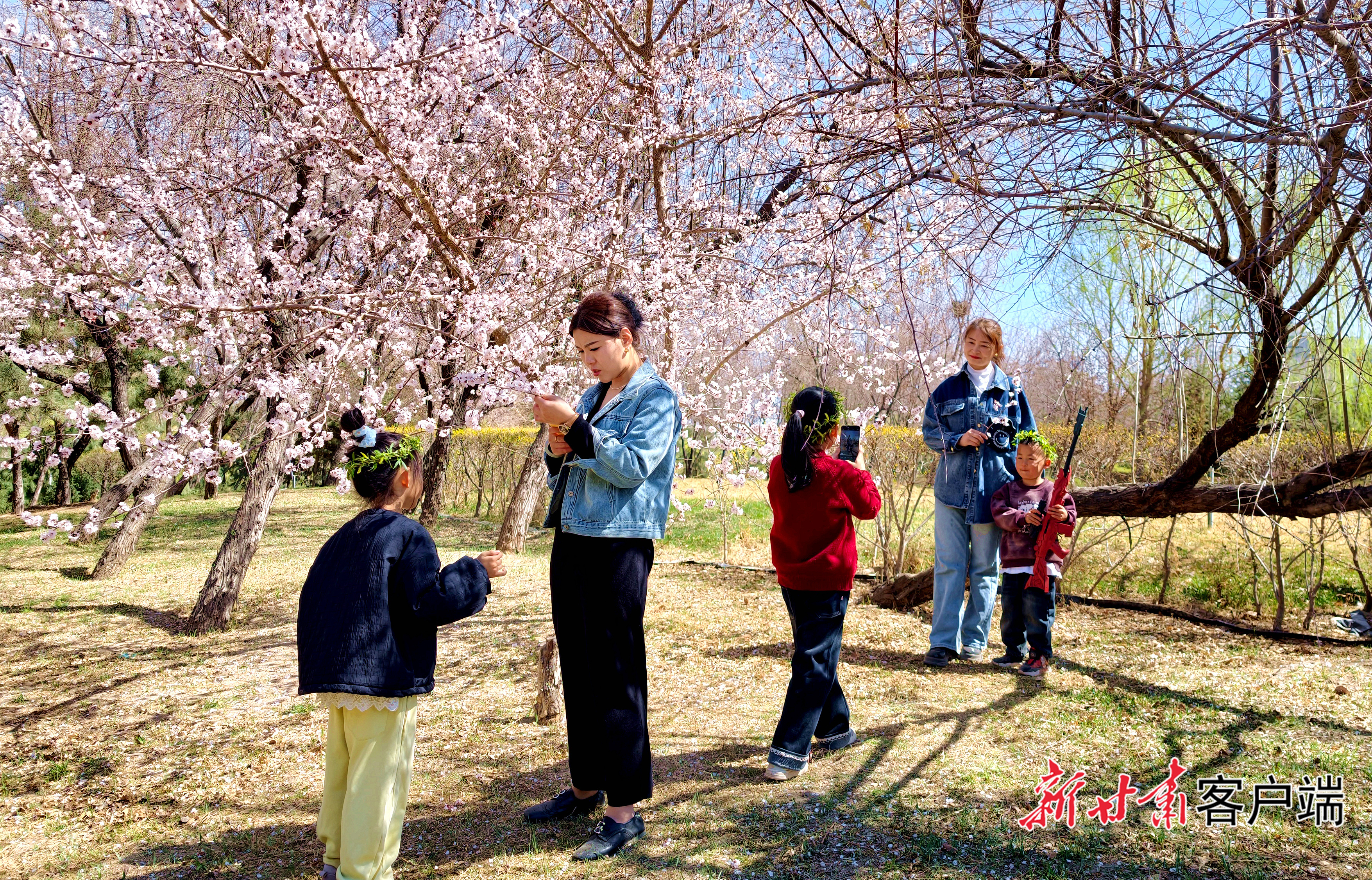 市民在武威海藏湿地公园踏青赏景，乐享假日美好时光。新甘肃&middot;甘肃日报记者 金奉乾摄