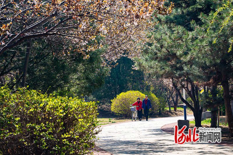 4月10日，市民在青龙湖公园游园。