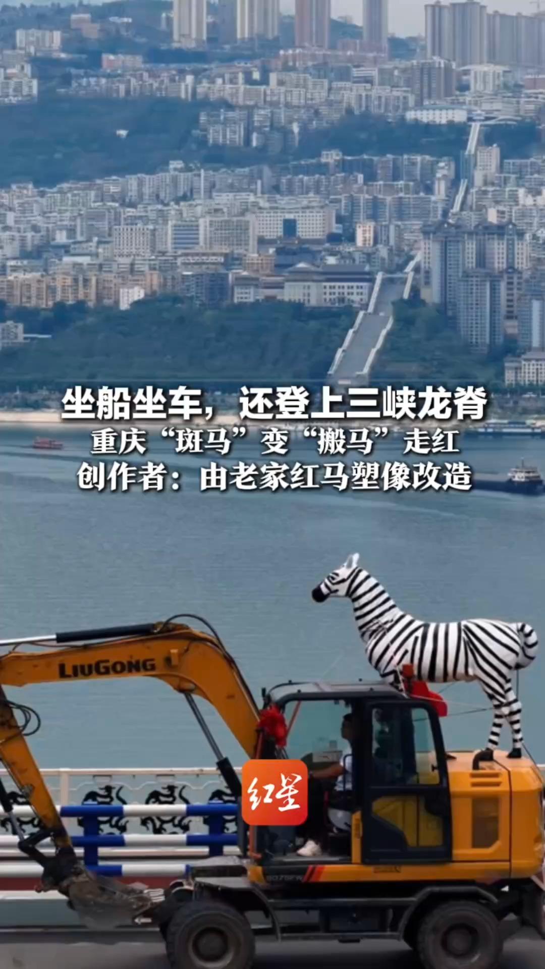 坐船坐车，还登上三峡龙脊 重庆“斑马”变“搬马”走红 创作者：由老家红马塑像改造 原本放在公园给大家打卡拍照