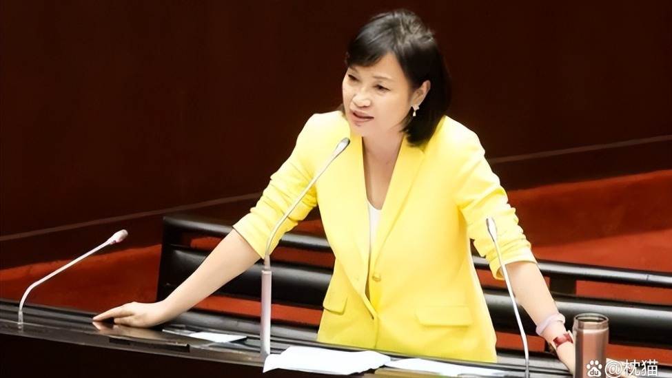 民进党有可能丢掉高雄？议员：这对柯志恩是很好的机会