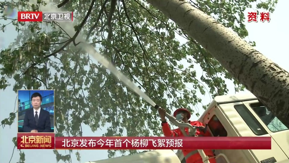北京发布2026年首个杨柳飞絮预报
