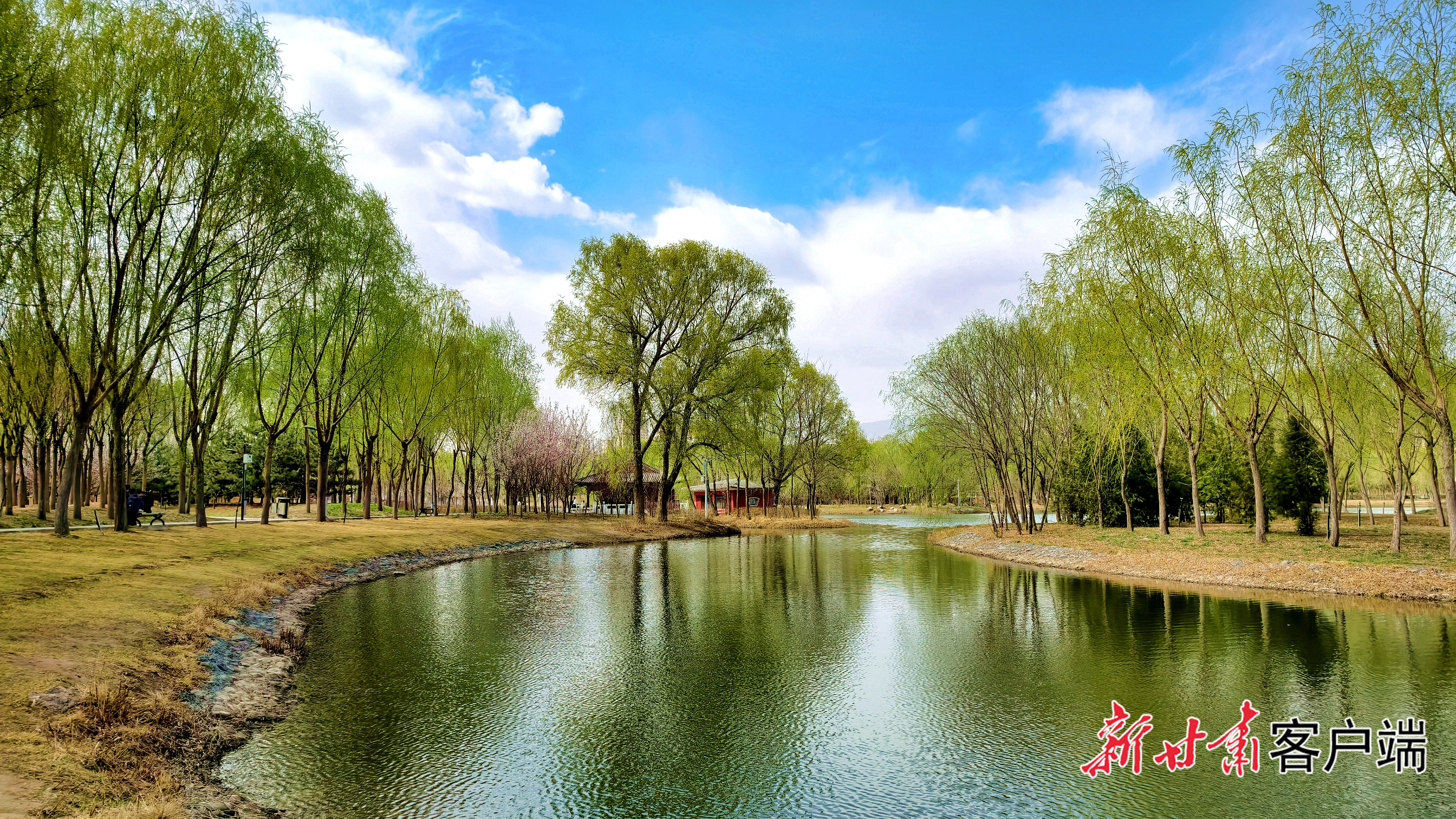 武威海藏湿地公园美景如画　新甘肃&middot;甘肃日报记者　金奉乾摄