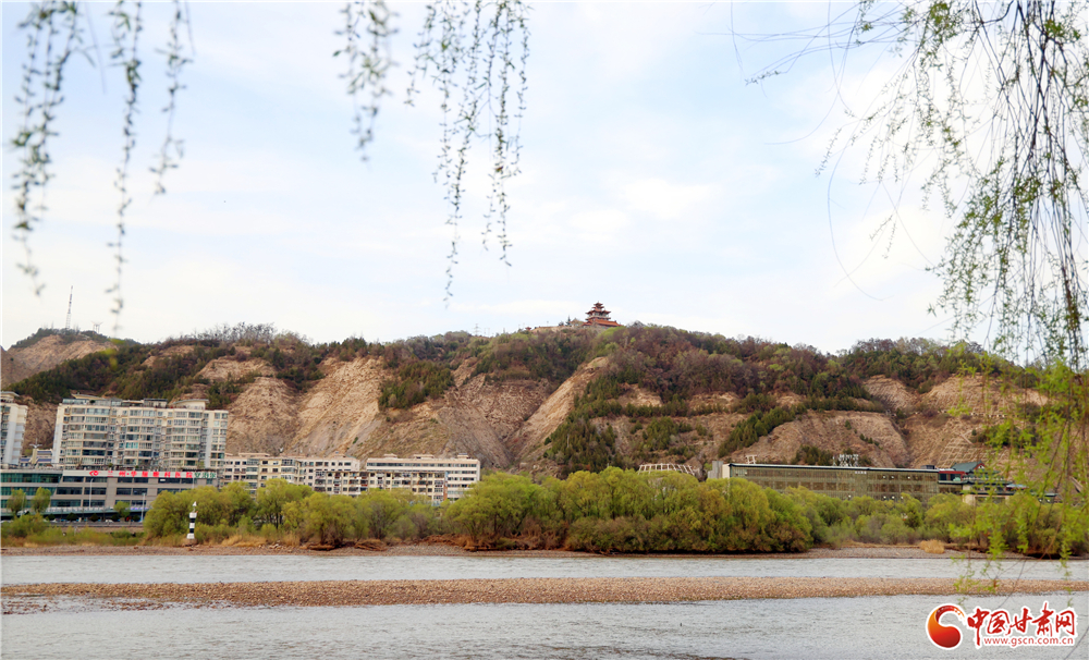 远山含翠，黄河岸畔望金城。