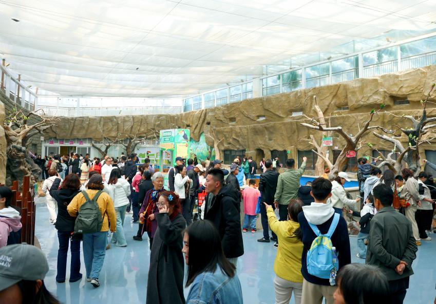 日照海洋公园花鸟园格外吸引人。日照市文旅集团供图