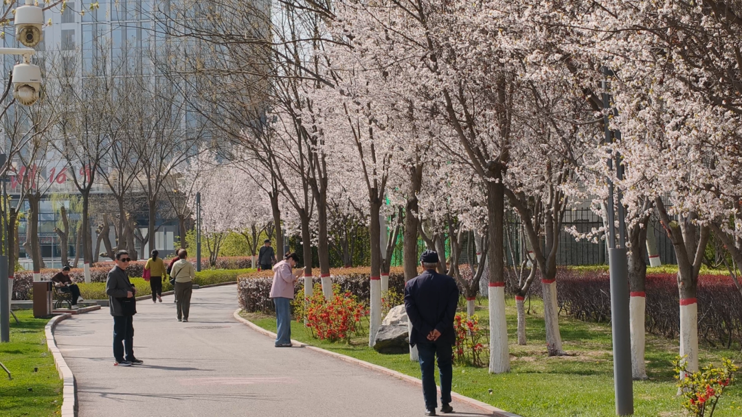 图源：城关发布