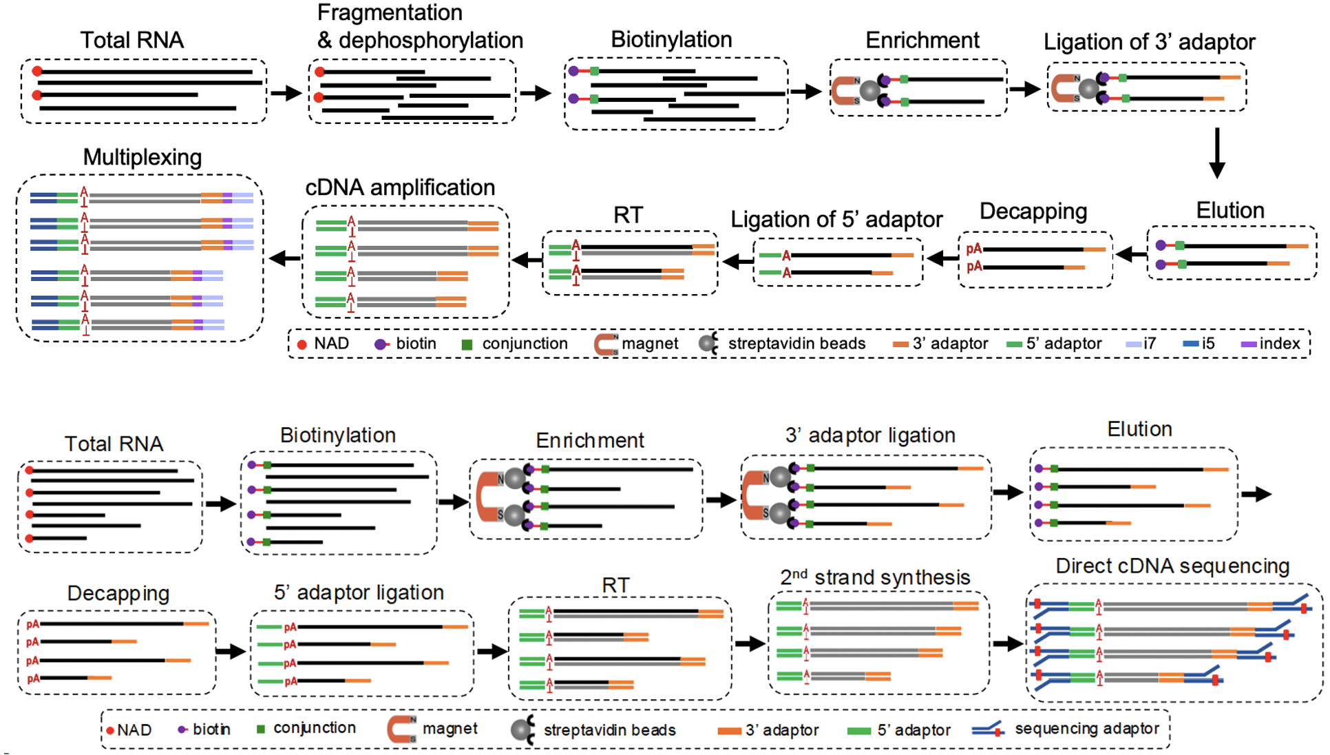 喜报！浙江万里学院再发Nature子刊：为破解细菌基因“开关”密码提供关键高精图谱