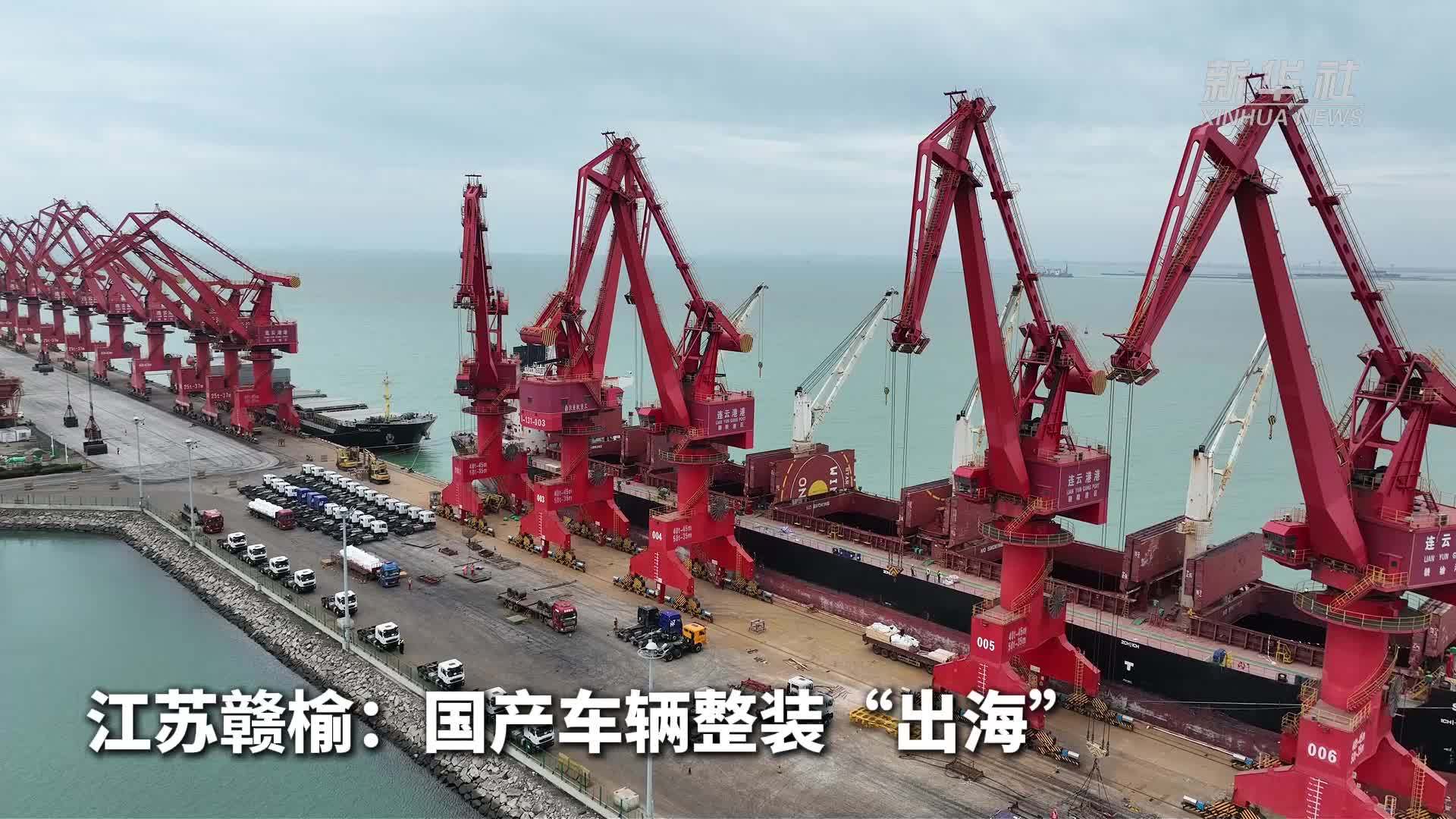 江苏赣榆：国产车辆整装“出海”