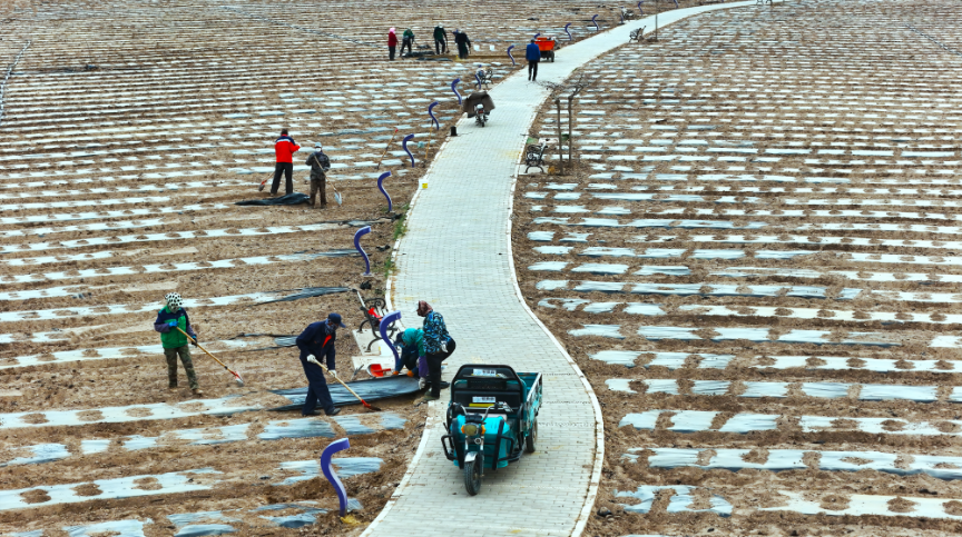 △ 对于机械车辆无法完成覆膜的边角区域组织人工完成