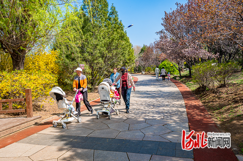 4月10日，市民在青龙湖公园游园。