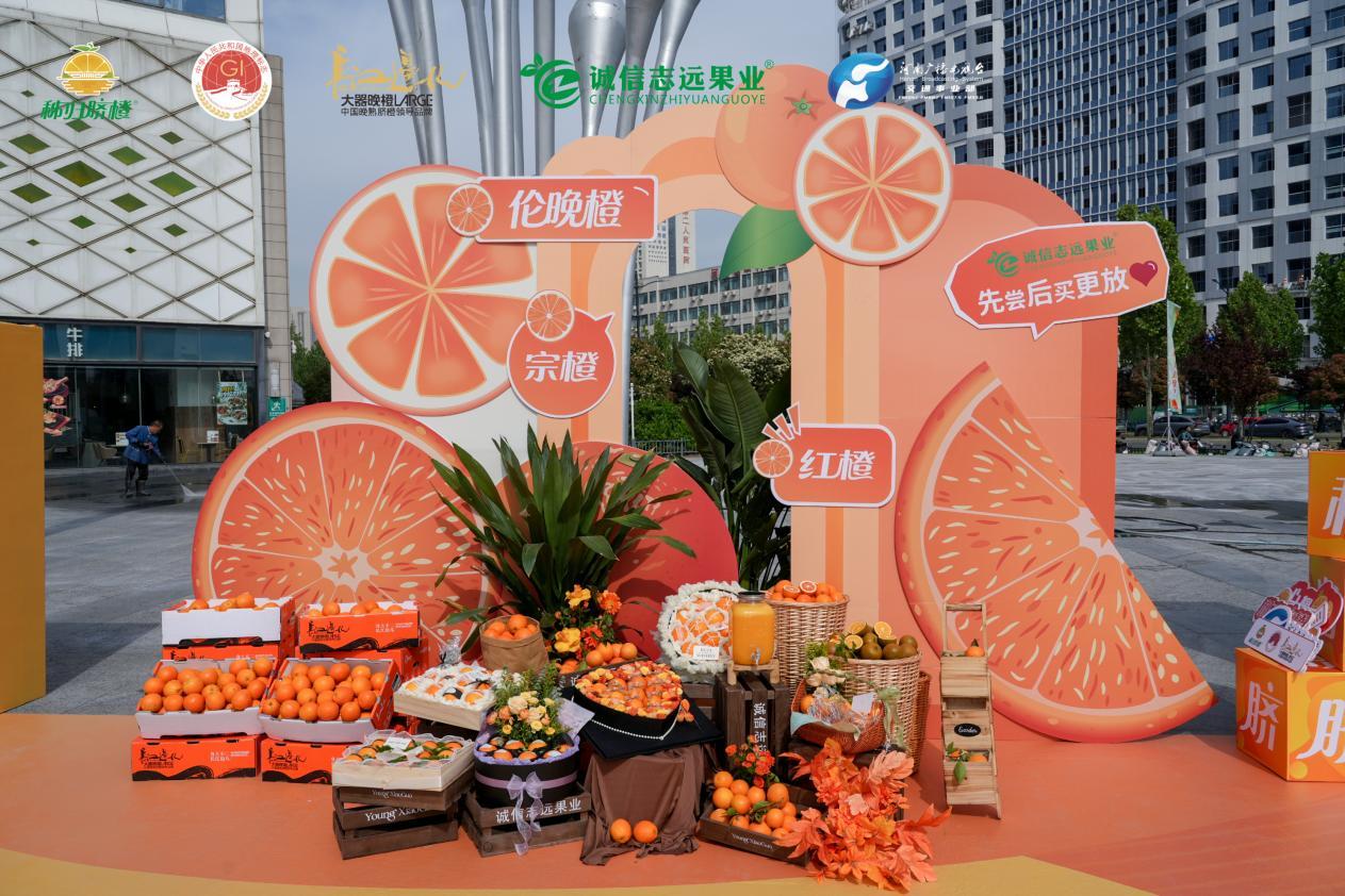 秭归脐橙展示 李芳 摄