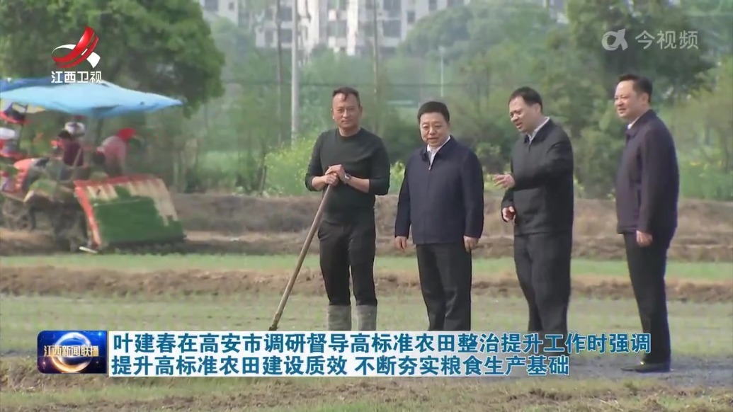 叶建春在高安市调研督导高标准农田整治提升工作