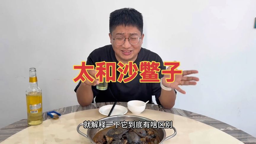 江西泰和600元一斤的沙鳖子，长得酷似小甲鱼，身价却是天壤地别