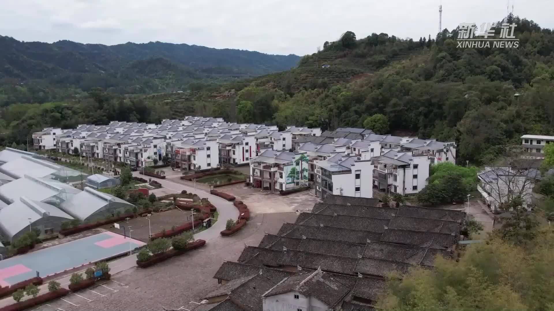 十七棵松：一个村庄世代相传的清明纪念