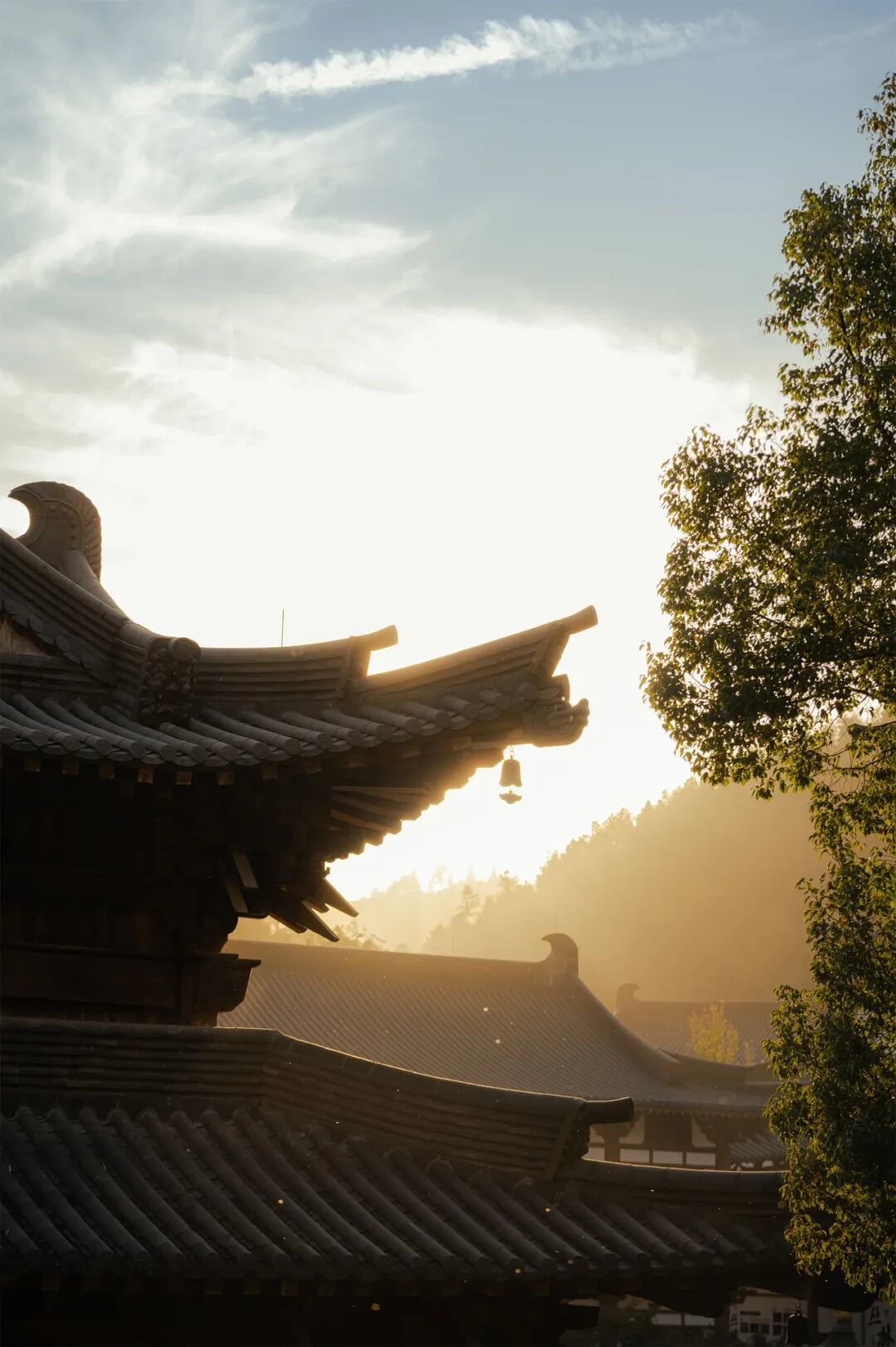 尘外梵音(摄影:法舟)