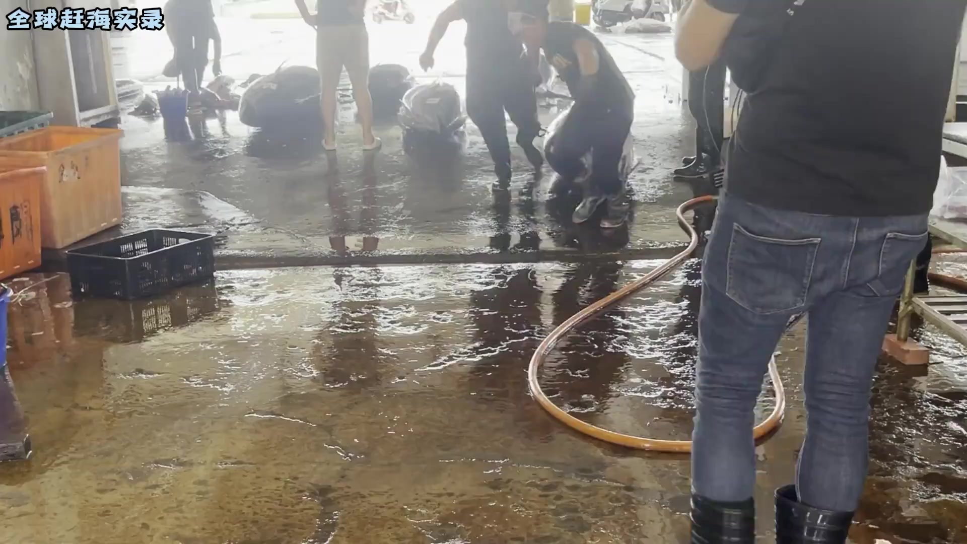 顶级刀手宰杀600斤蓝鳍金枪鱼，现场宰杀，刀法相当厉害